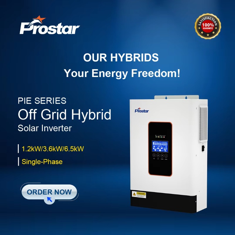 【2026】3.6kw 12V 24V 48V Zuiver - Renewable Energy Grid recensie en prijs